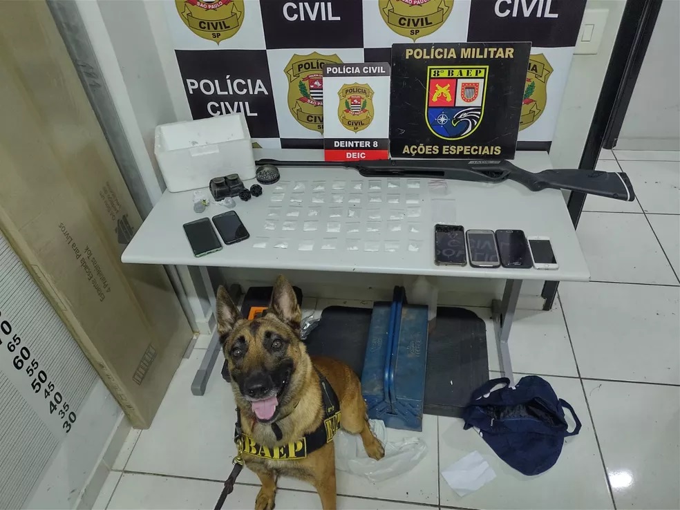 Operação policial em cidades do Oeste Paulista cumpre mandados de busca e apreende drogas