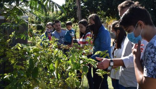 SAAMA realiza ação em comemoração a Semana do Meio Ambiente