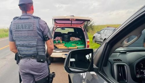 Casal acaba preso após ser flagrado com mais de 150 kg de maconha na Rodovia Assis Chateaubriand em Pirapozinho