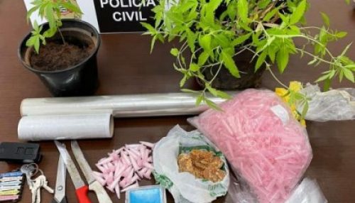 Polícia Civil de Tupã faz uma operação contra o tráfico de drogas no Jardim Itaipu