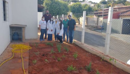 Parceria entre Secretaria de Saúde e SAAMA resulta na implantação de uma horta na UBS do Jardim Brasil