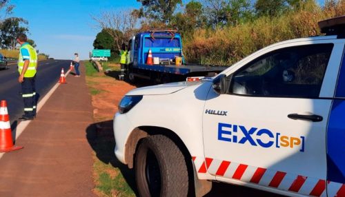 Motociclista morre após perder o controle, colidir em placa e cair em barranco na SP-294