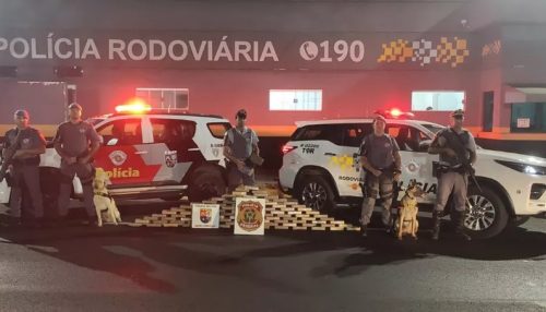 Fiscalização policial na SP-270 encontra quase 98 kg de cocaína em fundo falso em ônibus