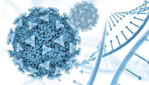 Mulher passa sete meses com Covid e 'cria' 22 mutações do coronavírus