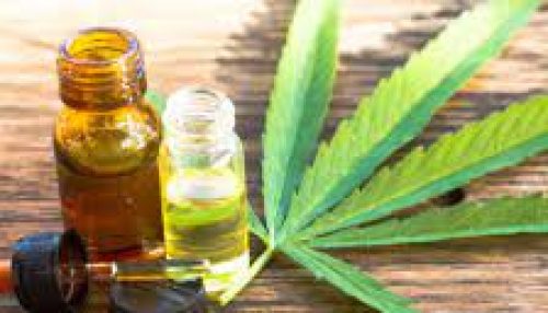 STJ autoriza pacientes cultivarem maconha com fim medicinal