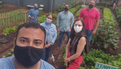 Agronomia e ProExt da UniFAI realizam primeira colheita após revitalização de Horta