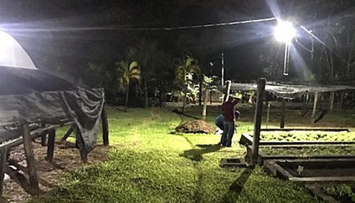 Área Experimental de Fitotecnia da UniFAI recebe sistema de iluminação