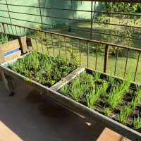 WhatsApp Image 2022 07 08 At 22.26.26 (2)