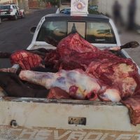 WhatsApp Image 2022 07 26 At 10.46.29