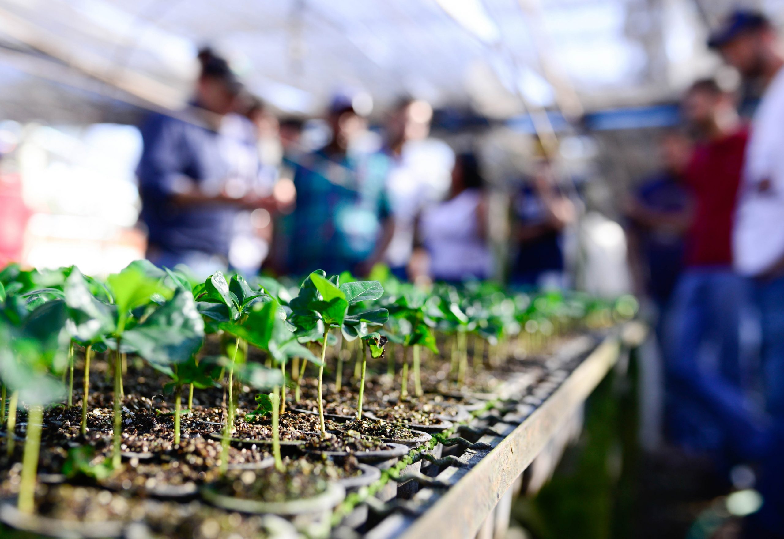 Agronomia na UniFAI: em sintonia com o futuro