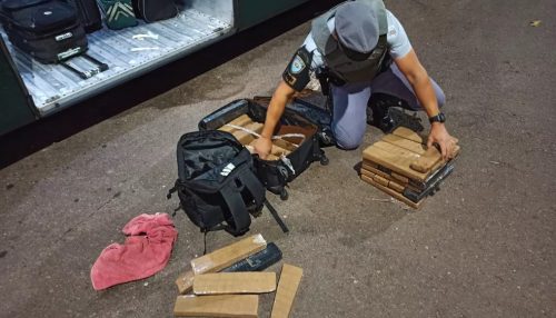 Quase 44kg de maconha são apreendidos durante fiscalização policial na SP-270, em Presidente Venceslau