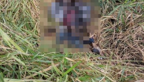 Corpo em estado avançado de decomposição é encontrado no Anel Viário de Quatá