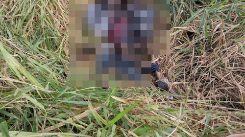 Corpo em estado avançado de decomposição é encontrado no Anel Viário de Quatá