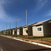 Photo_5055551729076120256_y