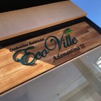 Photo_5055551729076120260_y