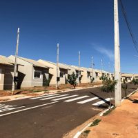 Photo_5055551729076120264_y