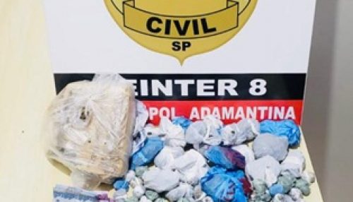 Polícia Civil de Adamantina realiza ação de combate ao tráfico de drogas e cumprimento de prisão