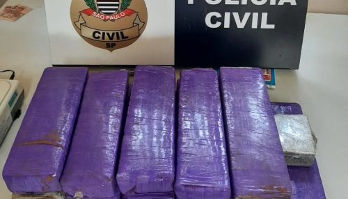 Polícia Civil encontra e apreende mais de 12 quilos de maconha em mochila abandonada em Martinópolis