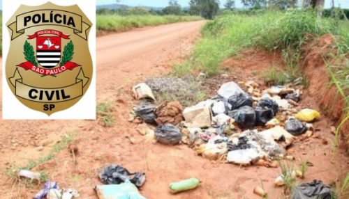 Morador joga lixo em estrada, é identificado pela Polícia Civil e responderá por crime ambiental