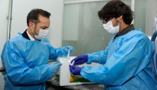 Brasil recebe vírus-semente para iniciar desenvolvimento de vacina contra monkeypox