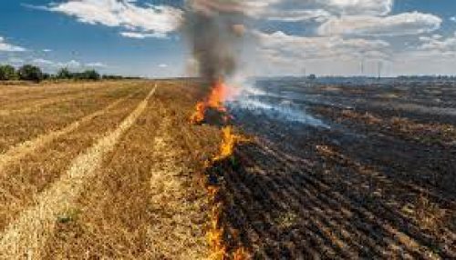 Prefeitura de Adamantina orienta procedimento diante de queimadas