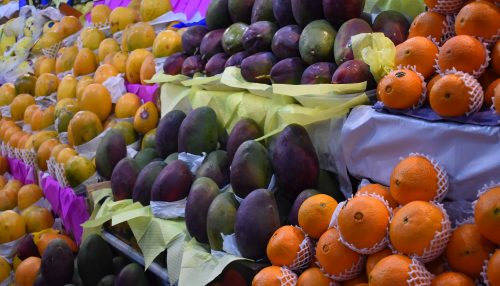 Com sucesso nas vendas, expositores confirmam participação na edição de 2023 da ExpoVerde