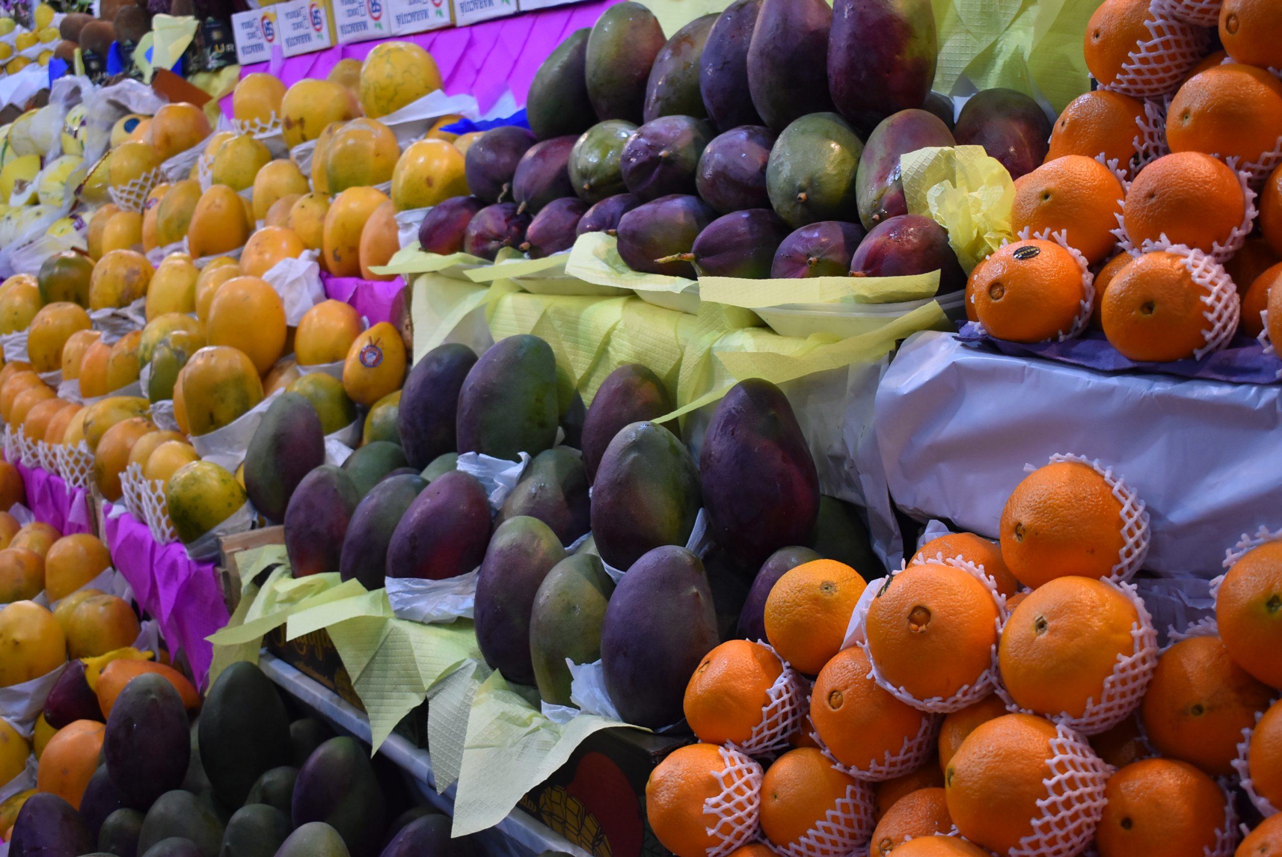 Com sucesso nas vendas, expositores confirmam participação na edição de 2023 da ExpoVerde