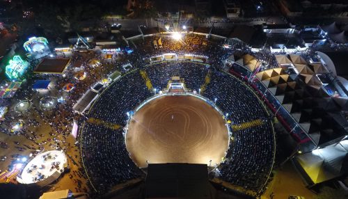 30ª edição da ExpoVerde chega ao fim com recorde de público