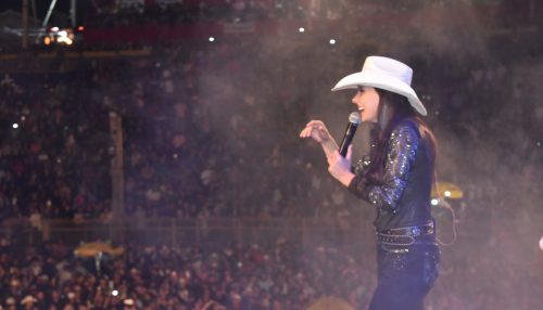 2º Dia de ExpoVerde tem lotação máxima