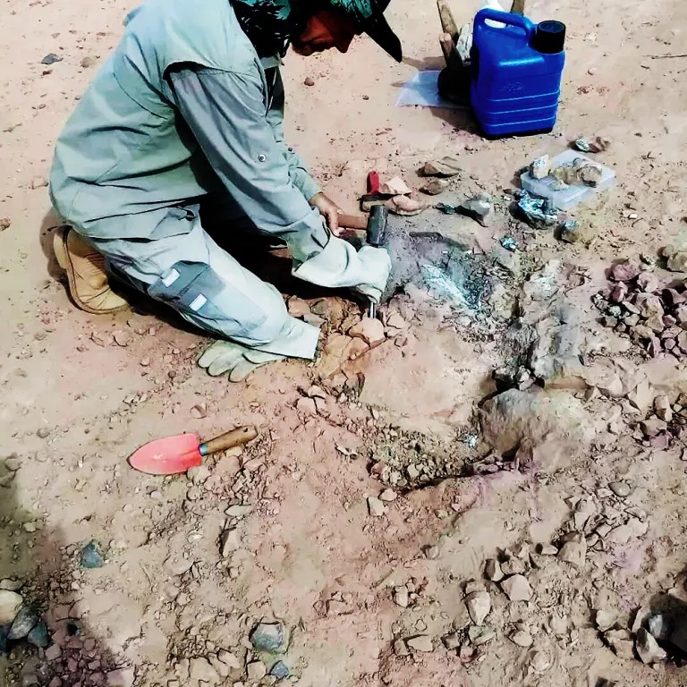 Novos fósseis de dinossauro são encontrados na região