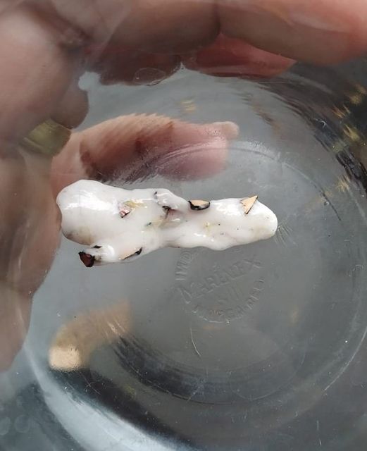 Criança recebe bala com objeto cortante de colega de classe em escola de Dracena