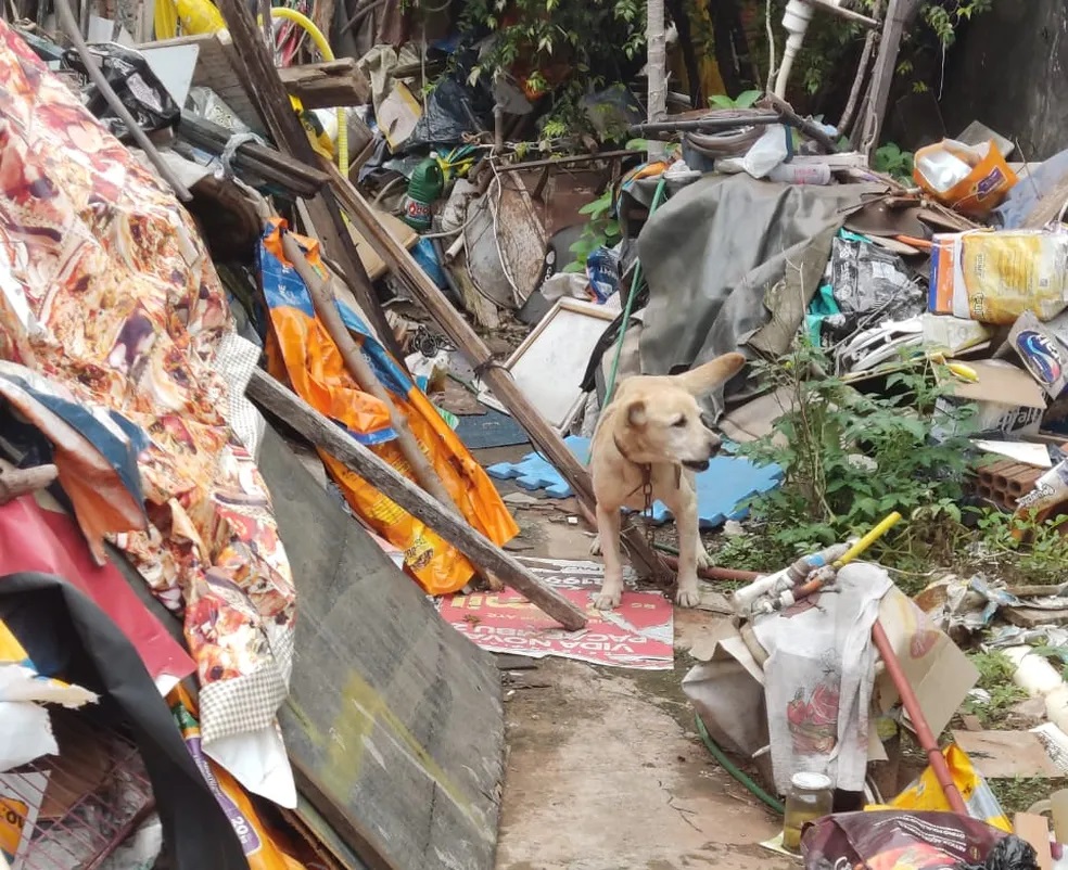 Homem de 72 anos é multado em R$ 3 mil por maus tratos a cachorro, em Presidente Prudente