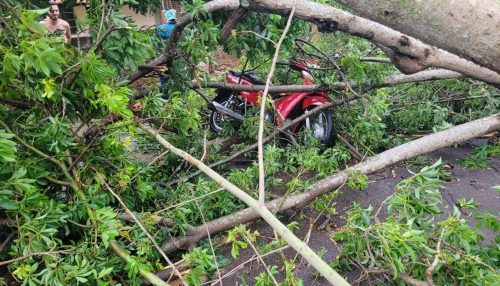 Nota de Esclarecimento - ocorrências provocadas pelo temporal na região