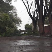 WhatsApp Image 2022 10 06 At 19.38.18 (2)