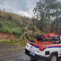 WhatsApp Image 2022 10 06 At 19.38.18