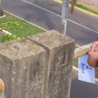 WhatsApp Image 2022 10 16 At 16.07.28