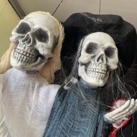 WhatsApp Image 2022 10 25 At 21.05.12