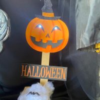 WhatsApp Image 2022 10 25 At 21.05.15