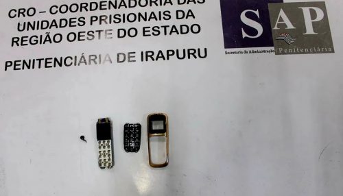 Mulher é flagrada tentando entrar na Penitenciária de Irapuru com placa de aparelho celular
