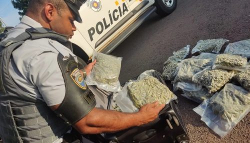 Polícia Rodoviária apreende mais de 17 quilos de skank na Rodovia Raposo Tavares, em Presidente Venceslau