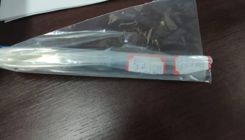 Aluno fere com faca funcionária de escola estadual durante discussão com colegas de sala em Presidente Prudente