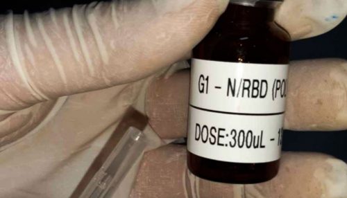 Covid-19: primeiros testes de vacina brasileira terão 400 voluntários