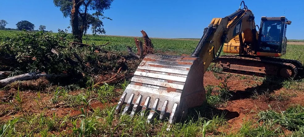 Fazendeiro leva multa de R$ 51,6 mil pela derrubada de 172 árvores com uso de retroescavadeira e pá carregadeira em Rancharia