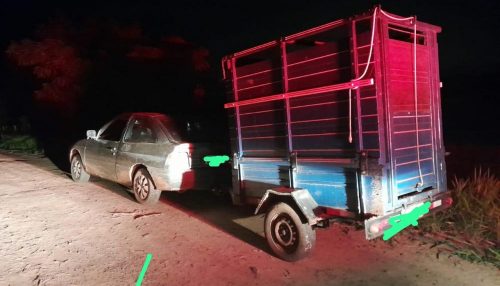 Dois moradores de Parapuã são detidos após furto de gado em fazenda