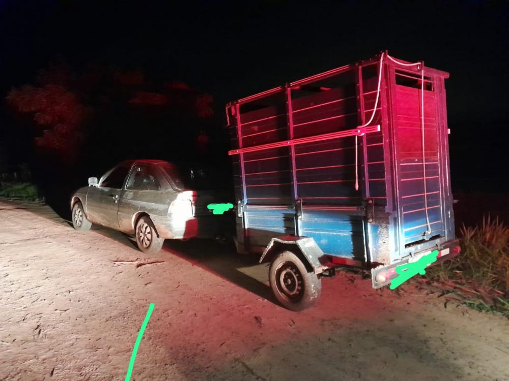 Dois moradores de Parapuã são detidos após furto de gado em fazenda