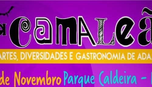 11ª edição da Camaleão Feira de Artes, Diversidades e Gastronomia de acontece no domingo (13) no Parque Caldeira