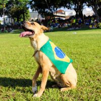 WhatsApp Image 2022 11 24 At 20.18.07