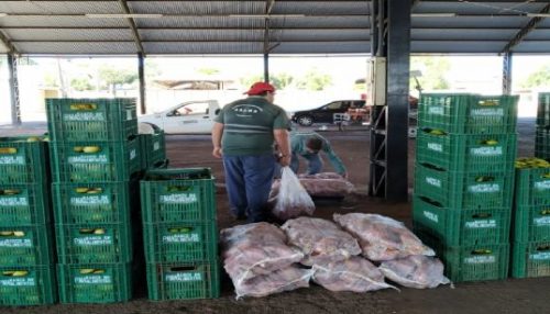 PAAM da Prefeitura de Adamantina compra hortifrútis de 56 agricultores familiares que atuam no município