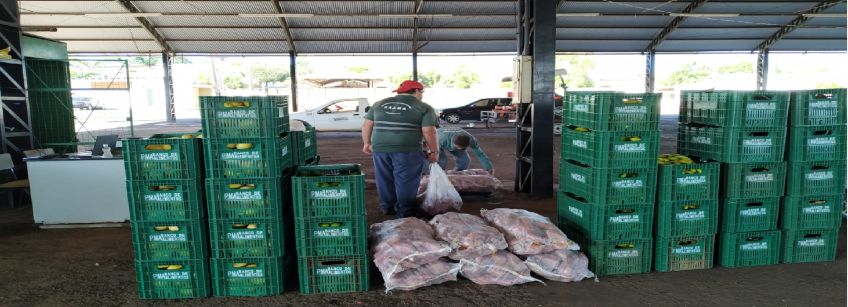 PAAM da Prefeitura de Adamantina compra hortifrútis de 56 agricultores familiares que atuam no município