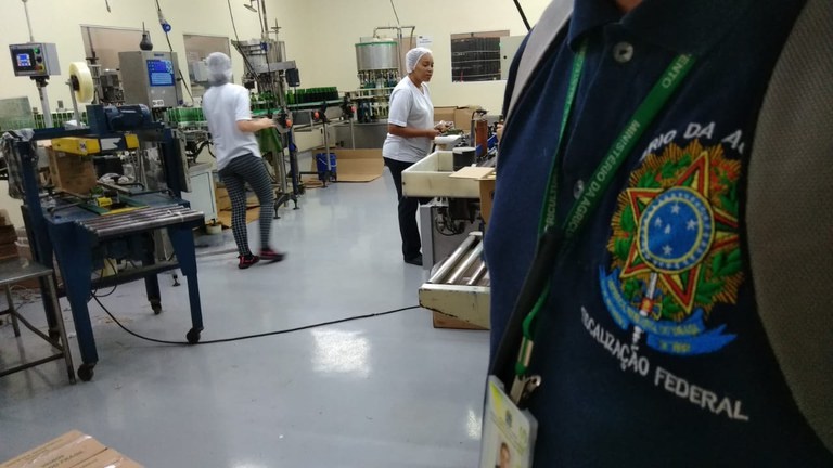 Mapa determina o recolhimento de óleo composto vendido como azeite de oliva